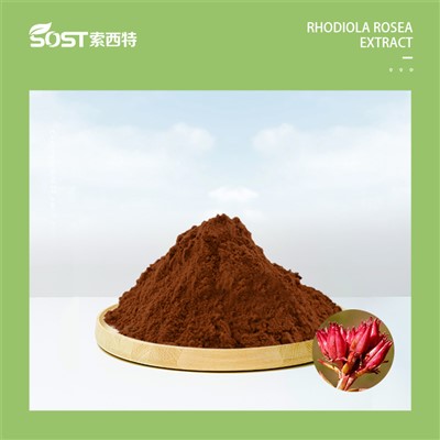 ٹچ نائکی 20240808